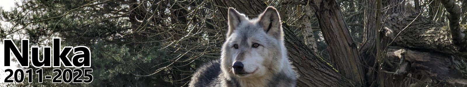 Nuka Obituary