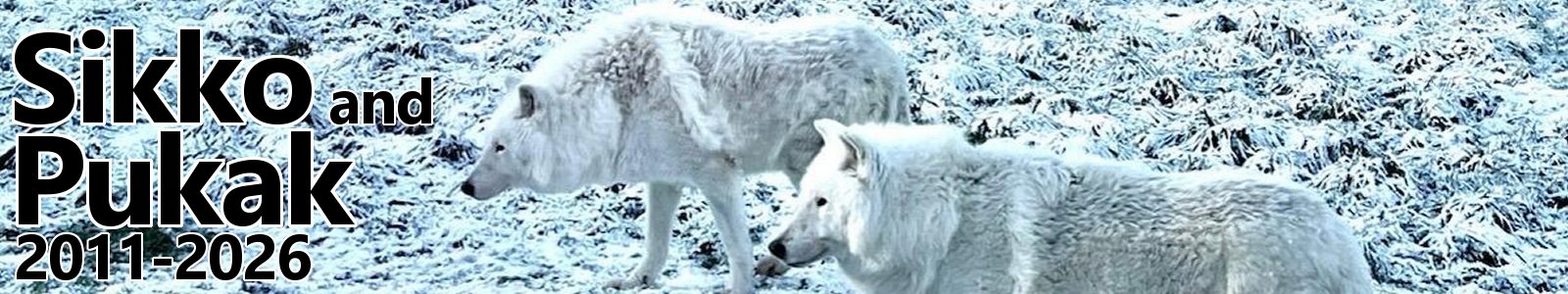 Sikko and Pukak Obituary