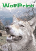 Issue 19