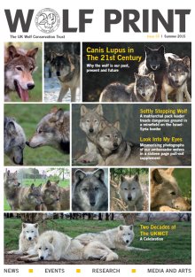 Issue 55